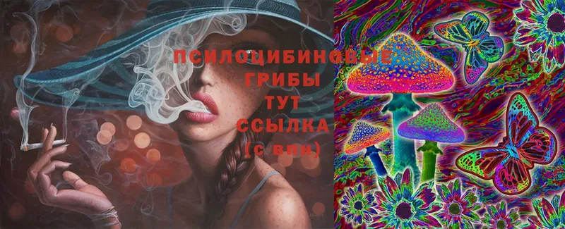 Псилоцибиновые грибы Psilocybine cubensis  цены   Салават 